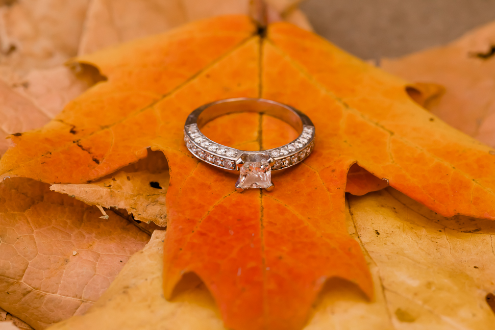 Fall Engagement Rings