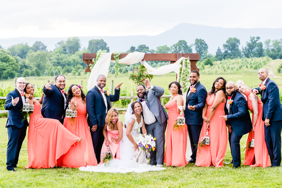 Remarkable DC Vineyard Wedding