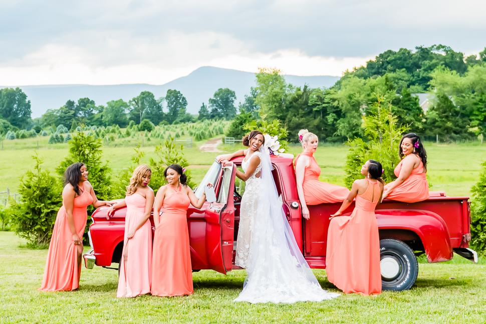 Remarkable DC Vineyard Wedding