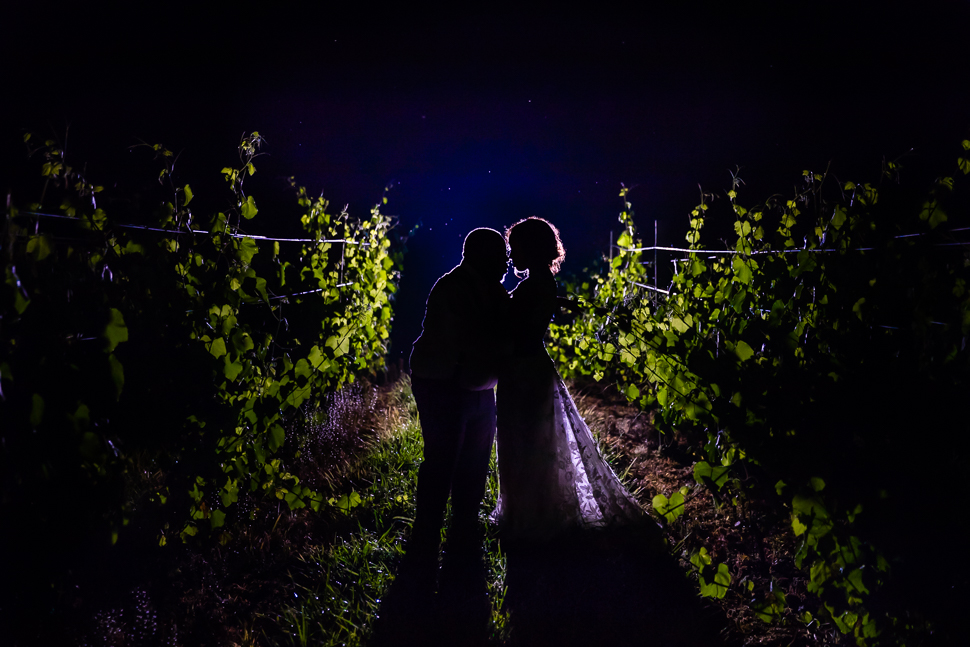 vineyard night time portrait