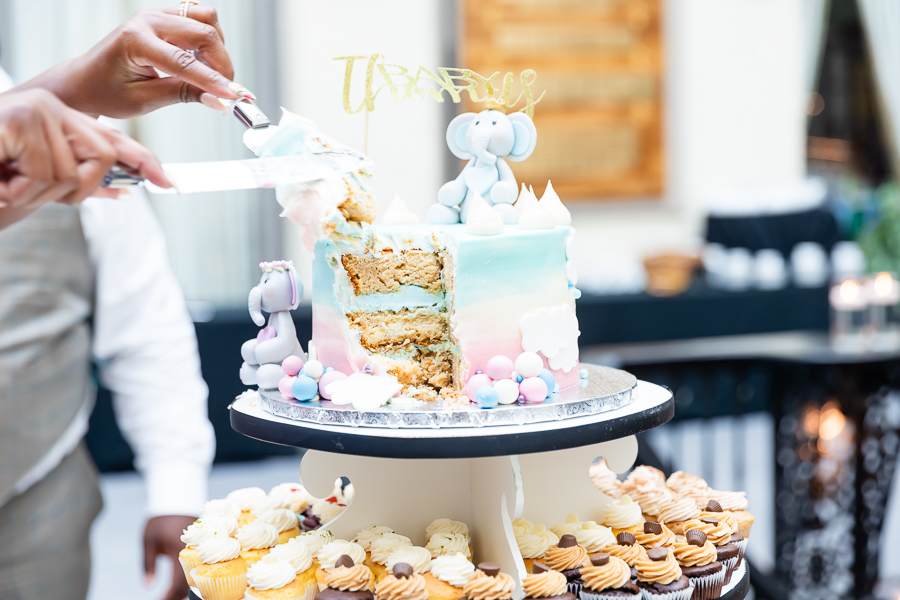 Wedding reception cake cutting